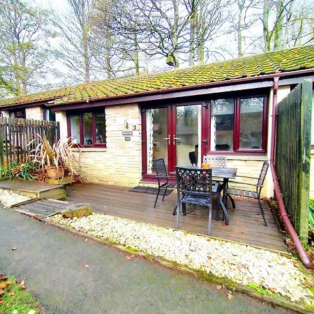 Woodland View - Families & Pets Villa Uny Lelant Exterior foto