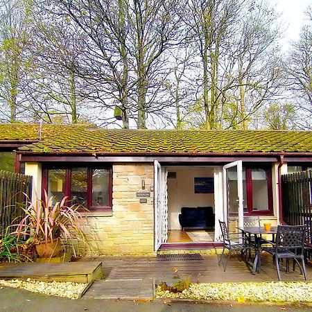 Woodland View - Families & Pets Villa Uny Lelant Exterior foto